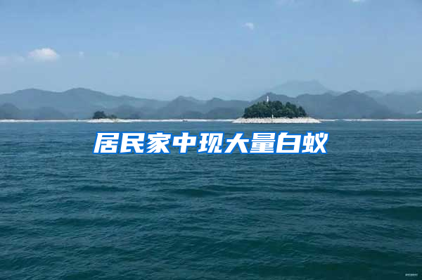 居民家中現(xiàn)大量白蟻