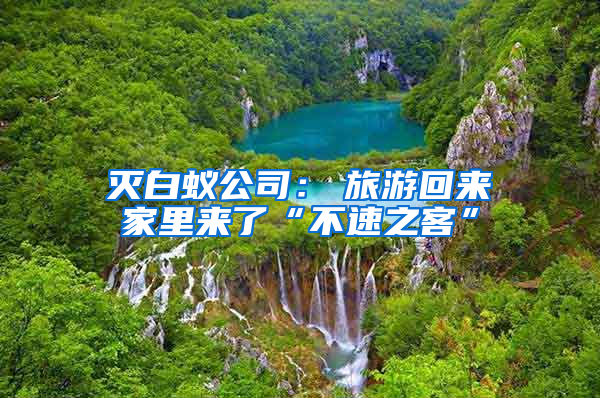 滅白蟻公司：　旅游回來家里來了“不速之客”