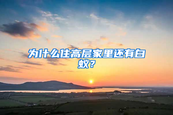 為什么住高層家里還有白蟻？