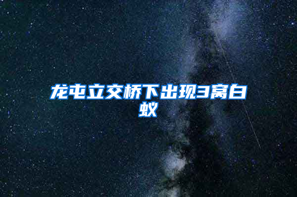 龍屯立交橋下出現(xiàn)3窩白蟻