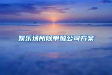 娛樂(lè)場(chǎng)所除甲醛公司方案