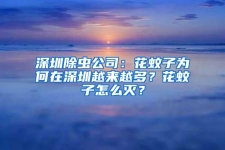 深圳除蟲公司：花蚊子為何在深圳越來越多？花蚊子怎么滅？