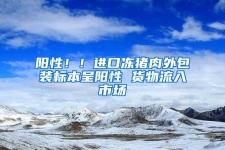 陽性??！進口凍豬肉外包裝標本呈陽性 貨物流入市場