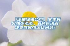 【深圳除蟲公司】家里有害蟲怎么辦，6種方法解決家庭害蟲困擾問題！