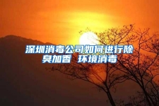 深圳消毒公司如何進行除臭加香 環(huán)境消毒