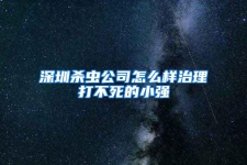 深圳殺蟲公司怎么樣治理打不死的小強(qiáng)