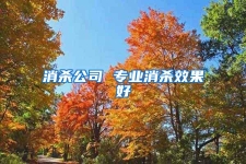 消殺公司 專業(yè)消殺效果好